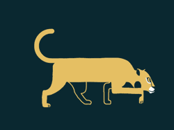 Gif animé lionne marche